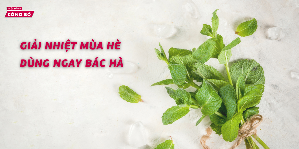 GIẢI NHIỆT MÙA HÈ DÙNG NGAY BẠC HÀ